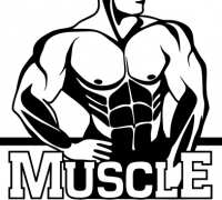 Muscle Factory Cyprus